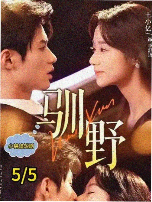 理伦在线观看声画对位条目升级公告配图